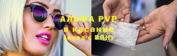 ECSTASY Алзамай
