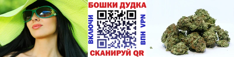 Бошки Шишки план  продажа наркотиков  Кудрово 